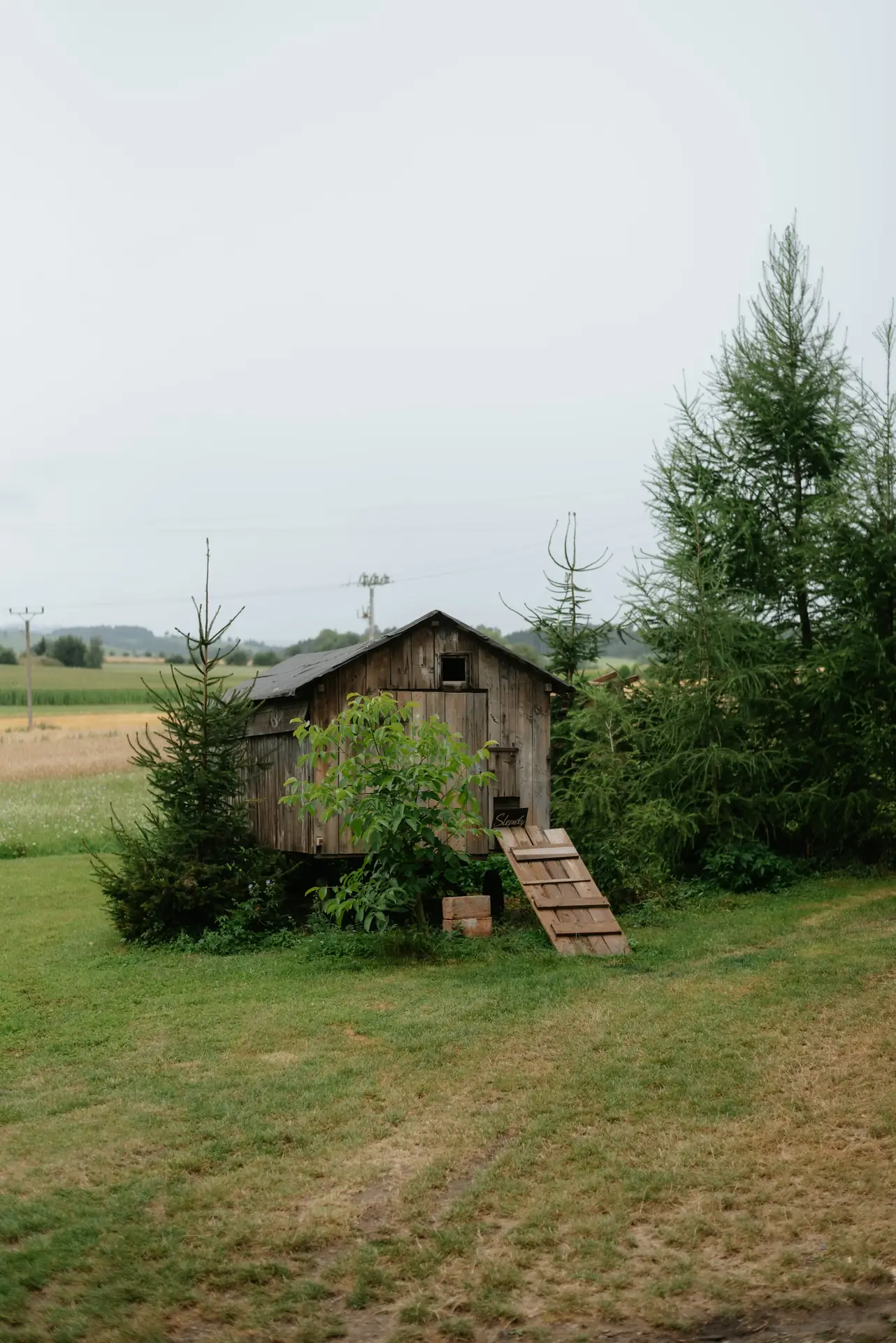Večerní hostina ve stodole pod girlandami žárovek